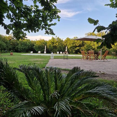 Agriturismo Terre Di Nelio Vignanello Exteriör bild